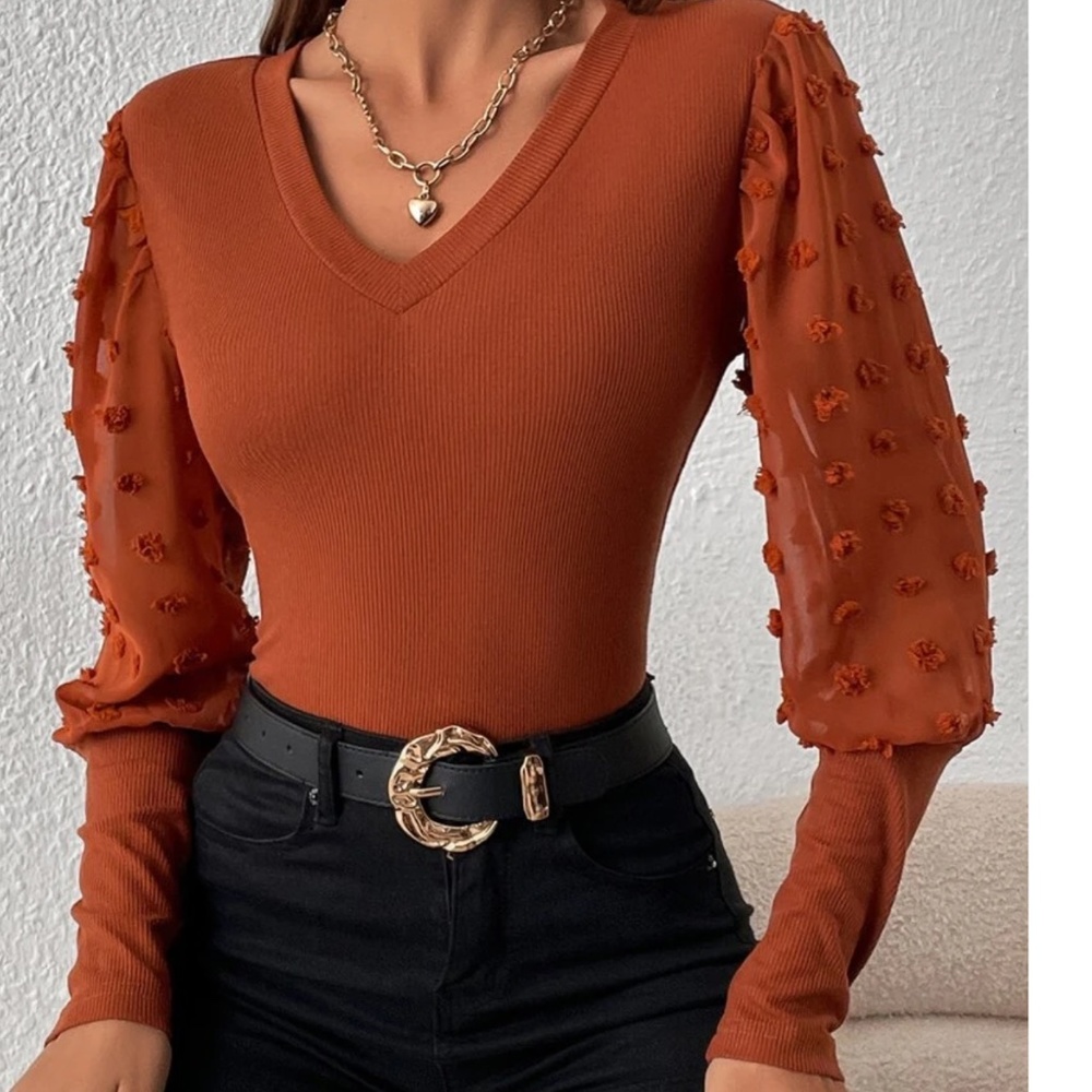 Fitted V neck Swiss Dot Puff Sleeve Top - Picture 8 of 10
